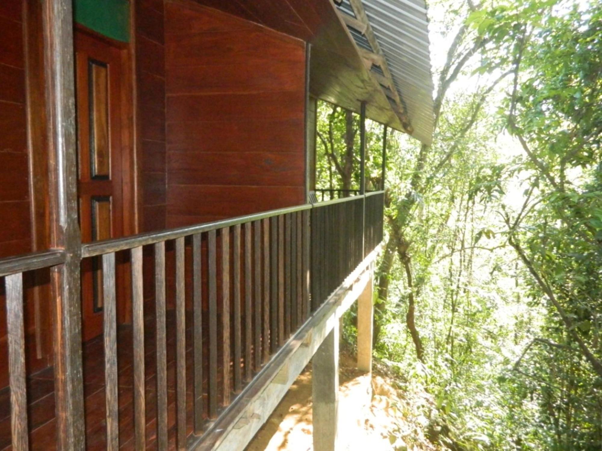 Birds Paradise Hotel Kudawe Rom bilde