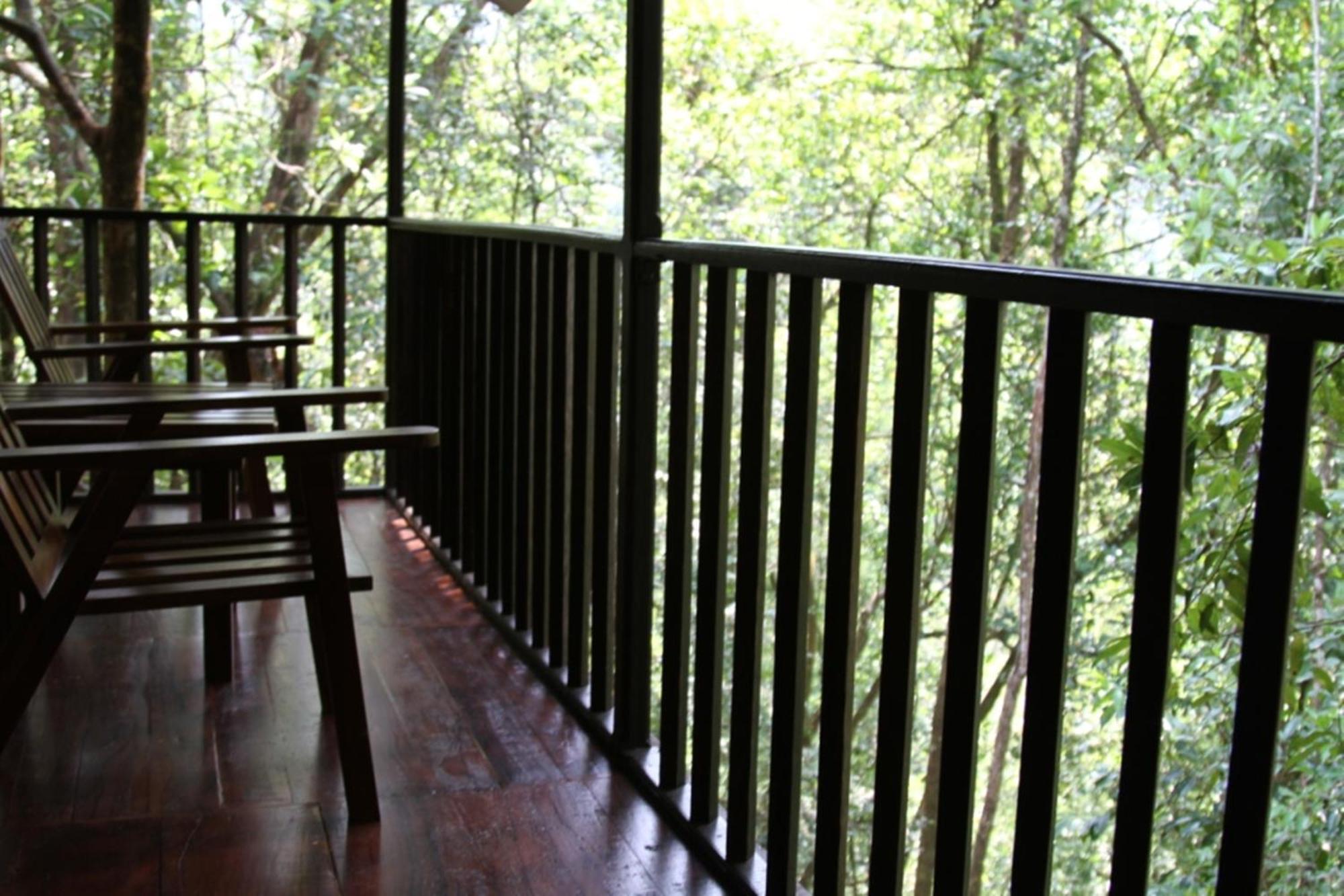 Birds Paradise Hotel Kudawe Rom bilde
