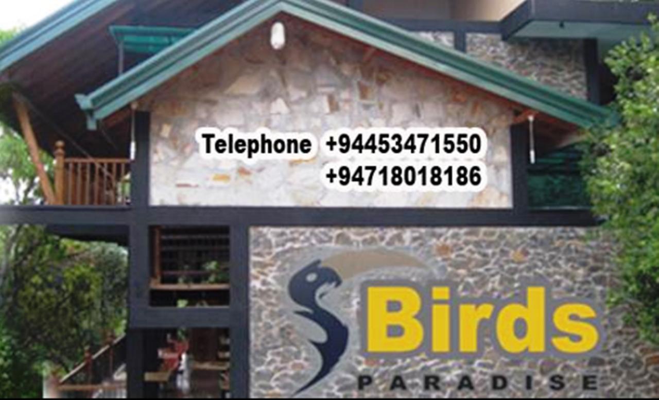 Birds Paradise Hotel Kudawe Eksteriør bilde