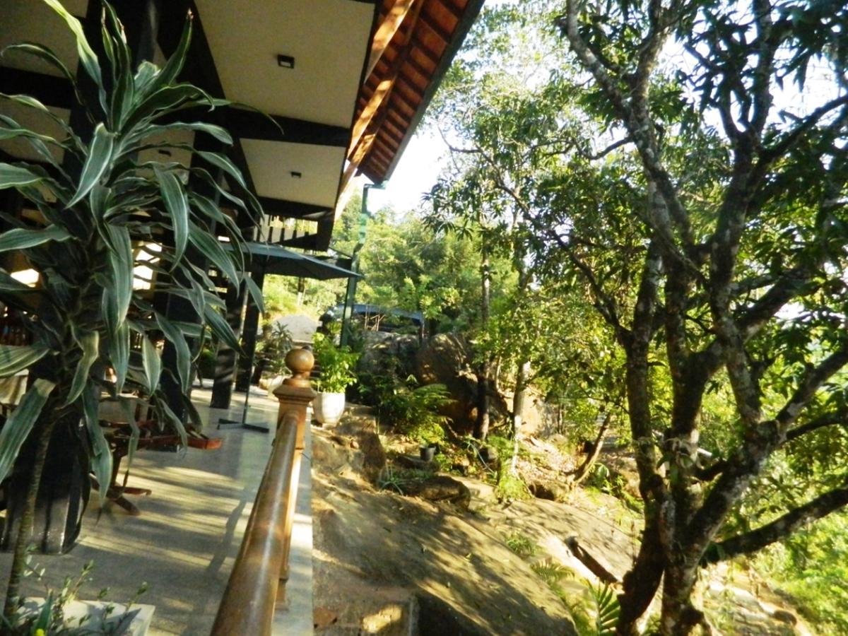 Birds Paradise Hotel Kudawe Eksteriør bilde